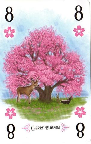 Arboretum Cherry Blossom Promo
